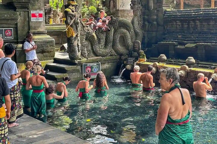 Ubud Rice Terraces, Water Temple & Kecak Dance — Full-Day Cultural Adventure photo 4