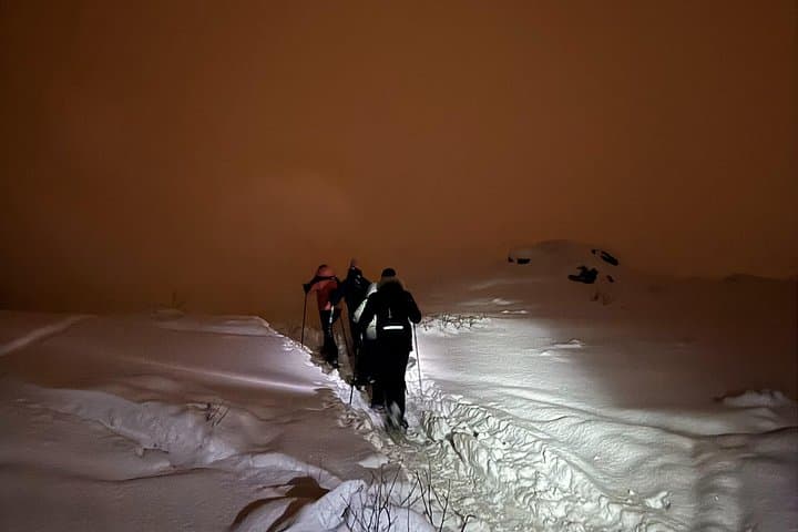 Snowshoe Expedition to Nattmålsfjellet: Arctic Summit Near Tromsø photo 6
