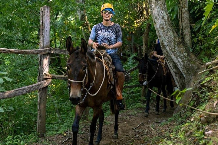 Tequila Suspension Bridge Zip and Walk Tour — Puerto Vallarta Zipline, Bridge Crossing & Mule Return photo 3