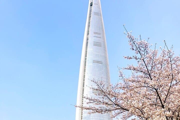 Chasing Cherry Blossoms from Seoul: One-Day Spring Flower Tour photo 6