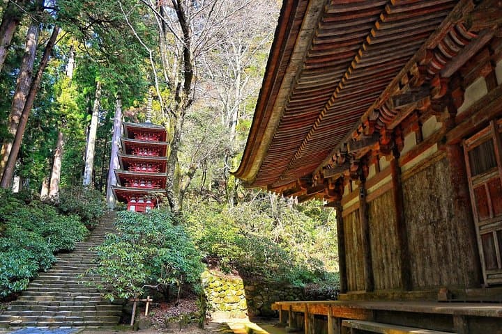 Muro-ji Temple: Women’s Kōyasan — Forest Pilgrimage Near Nara