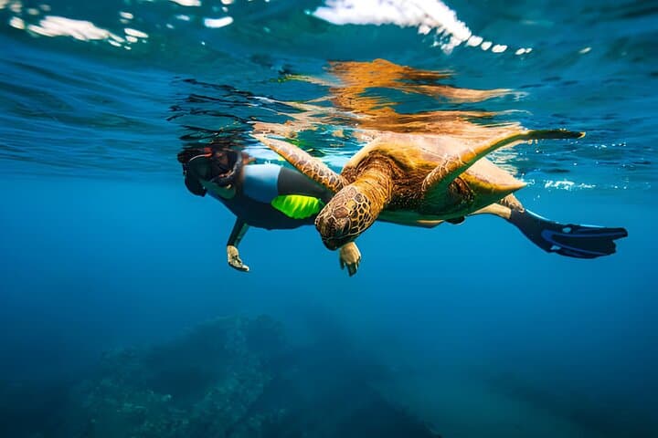 Mauritius Lagoon & Island Adventure: Snorkel, Wildlife & Waterfall Cruise photo 2