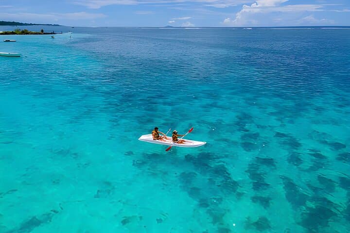 Mauritius Lagoon & Island Adventure: Snorkel, Wildlife & Waterfall Cruise photo 6