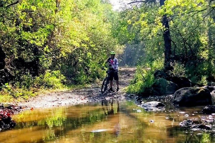 Oaxaca Mountain Bike to Changuitos & the Tule Tree — Santo Domingo Tomaltepec Day Ride photo 4
