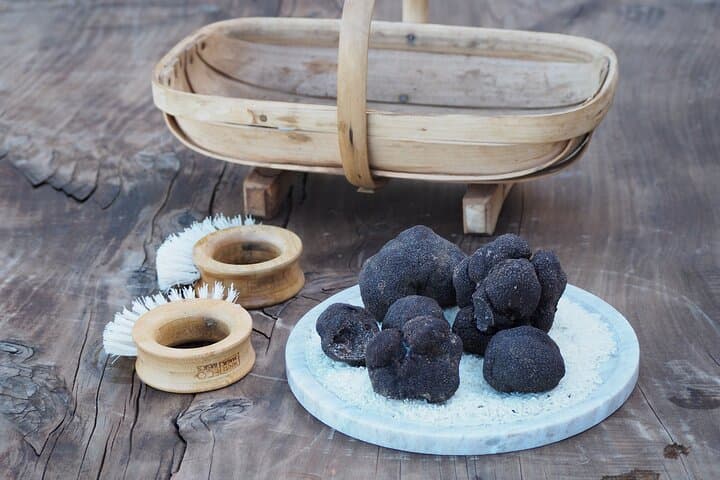 Forage and Feast: Truffle Hunt and Wood-Fired Pizza in Red Hill photo 2