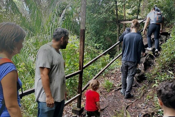 Bako National Park Day Trip from Kuching — Proboscis Monkeys, Coastal Trails & Beaches photo 4