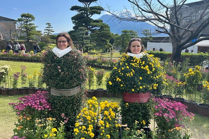 Sakurajima Views and Wagyu Plates: Full-Day Private Kagoshima Gastronomic Tour