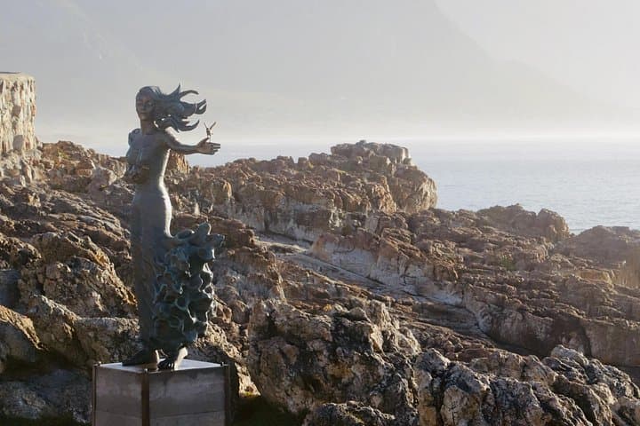 Hermanus Cliff Walk History Tour: Whale-Watching & Fynbos Stories photo 6