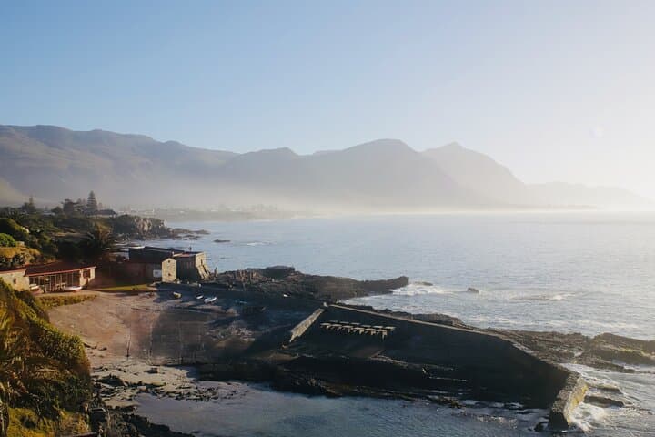 Hermanus Cliff Walk History Tour: Whale-Watching & Fynbos Stories