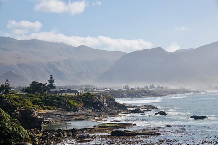 Hermanus Cliff Walk History Tour: Whale-Watching & Fynbos Stories photo 4