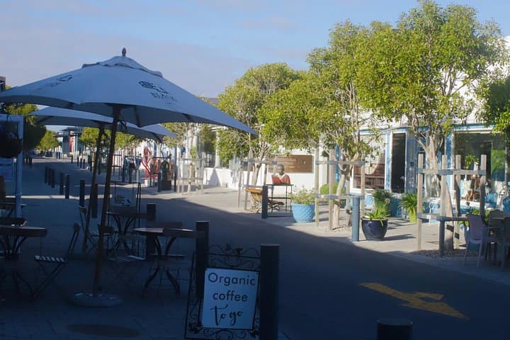 Hermanus Cliff Walk History Tour: Whale-Watching & Fynbos Stories photo 5