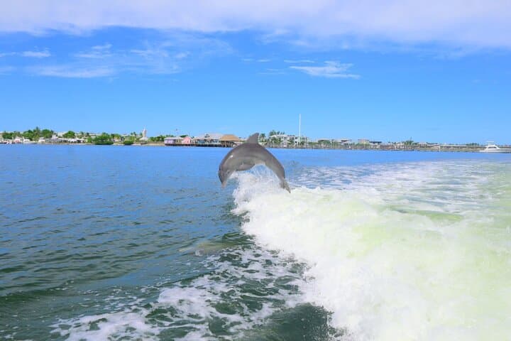 Private Egmont Key Excursion — Boat to Egmont Key State Park, Lighthouse & Shelling photo 6