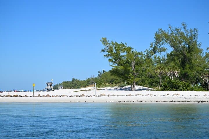 Private Dolphin & Intracoastal Eco-Tour — Anna Maria Island photo 6