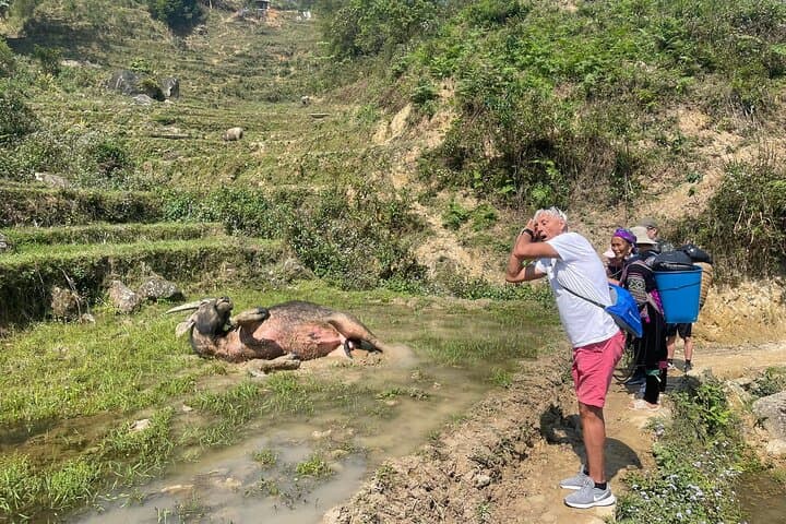 Half-Day Sapa Trek: Ta Van, Lao Chai & Y Linh Ho Terraced Fields photo 3