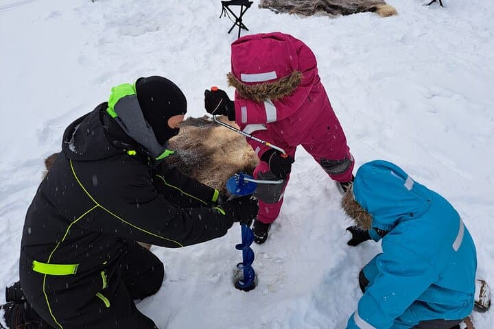 Private Snowmobile Ice Fishing Initiation Near Rovaniemi photo 2