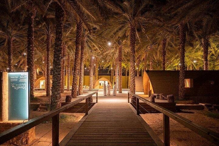 Al Ula Daimumah Oasis Guided Walking Tour — Art, Springs & Palm Gardens