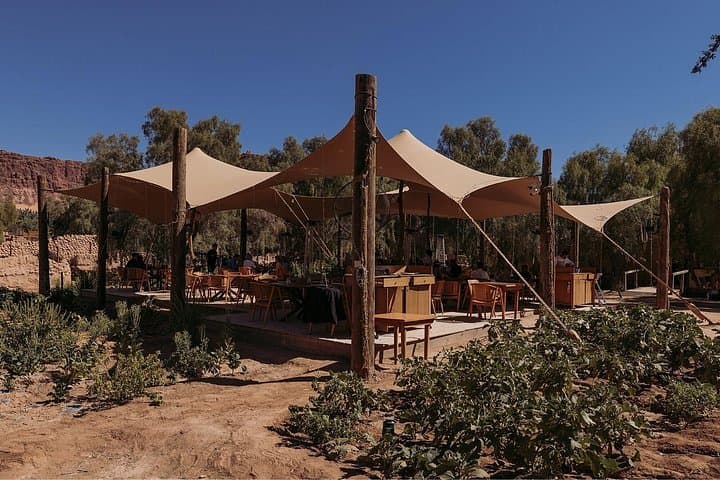 Al Ula Daimumah Oasis Guided Walking Tour — Art, Springs & Palm Gardens photo 3