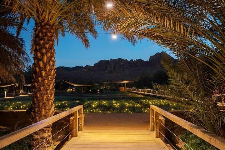 Al Ula Daimumah Oasis Guided Walking Tour — Art, Springs & Palm Gardens photo 6