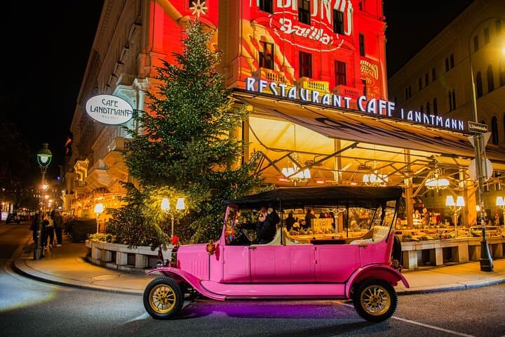 Vienna Christmas Market Tour: Private 2.5-Hour Old-Timer Holiday Experience