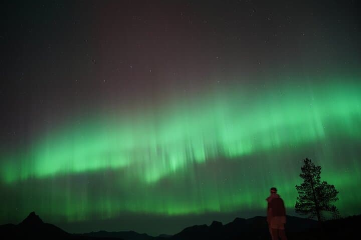 Bodø Northern Lights Safari — Chase the Aurora on an Arctic Night photo 3