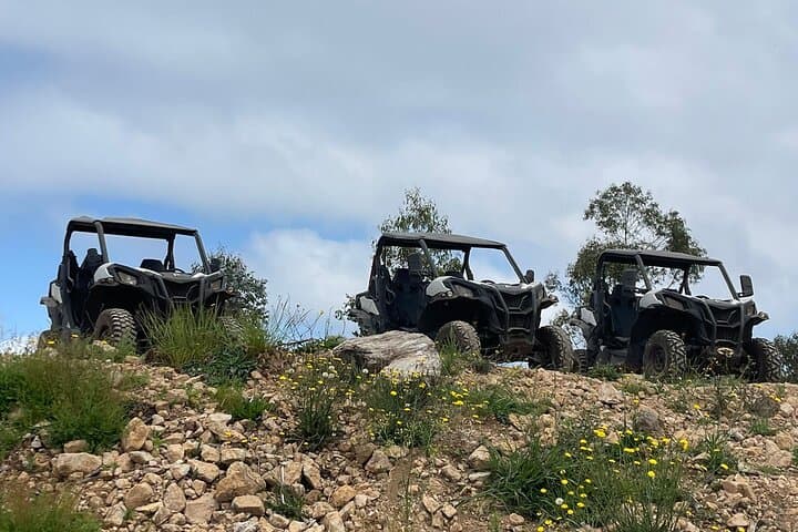 Madeira Cliffside Buggy Adventure: Half-Day 4x4 Tour from Câmara de Lobos photo 4