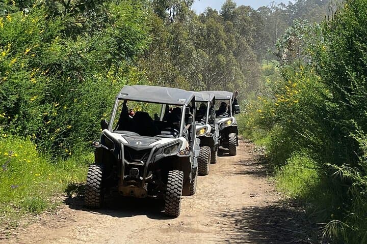 Madeira Cliffside Buggy Adventure: Half-Day 4x4 Tour from Câmara de Lobos photo 5