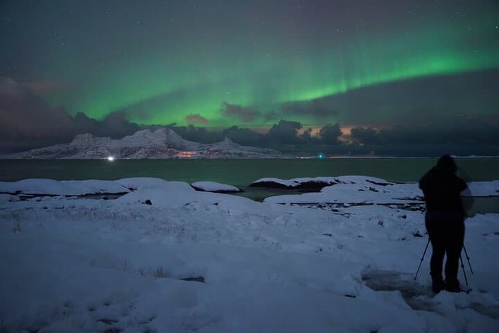 Bodø Northern Lights Safari — Chase the Aurora on an Arctic Night photo 4