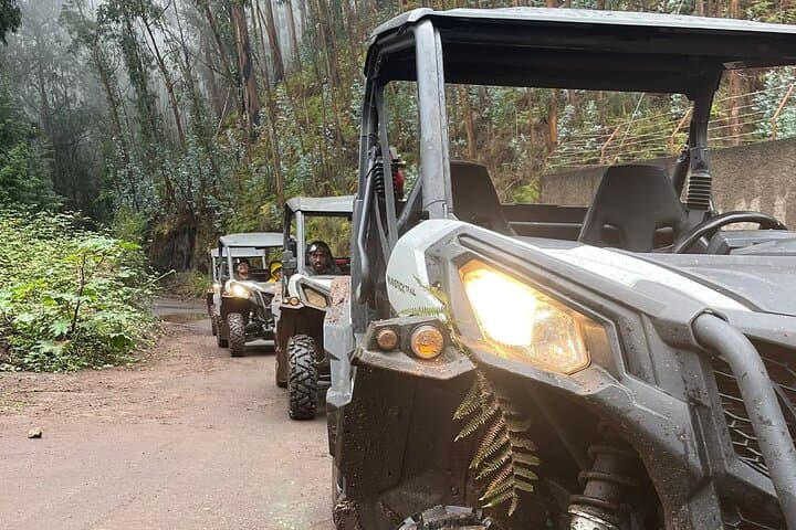 Madeira Cliffside Buggy Adventure: Half-Day 4x4 Tour from Câmara de Lobos photo 6