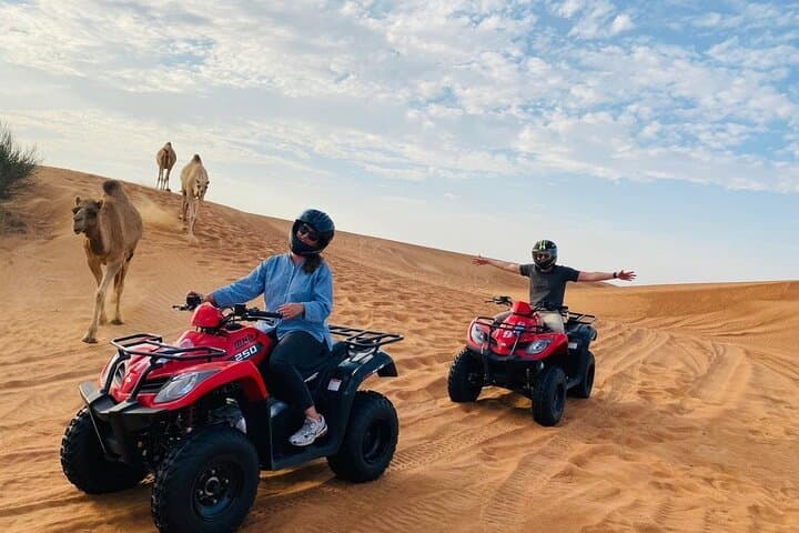 Sharm El-Sheikh Desert Quad & Camel Safari — 3-Hour Dune Adventure