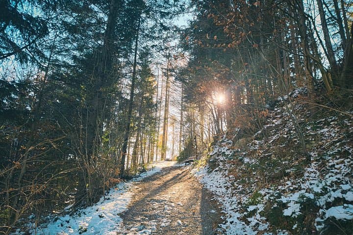 Sound of Music Do-Re-Mi Hike: Winter Walk to the Filming Meadow near Werfen photo 4