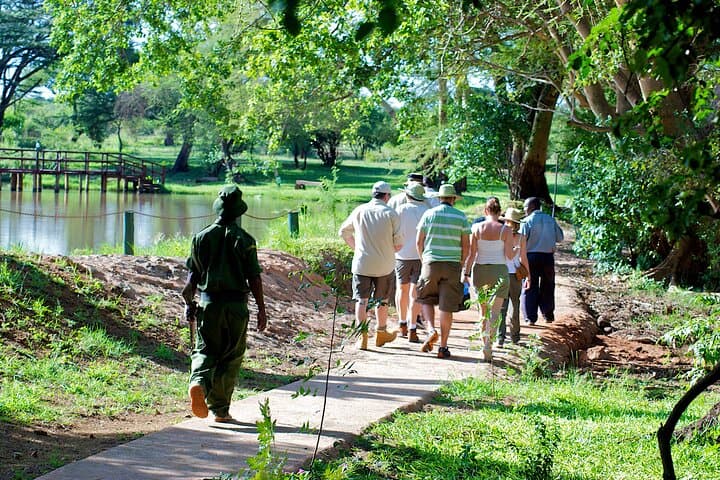 3-Day Voyager Ziwani Safari: Night Drives, Game Walks & Kilimanjaro Views photo 4
