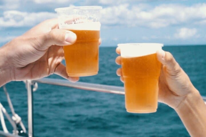 Sunset Catamaran Cruise off South Lanzarote — Dolphin Watching & Mojitos photo 6