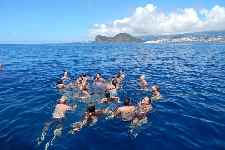 Ilhéus das Cabras Private Boat Tour — Wildlife, Cliffs & Blue Caves of Terceira photo 2