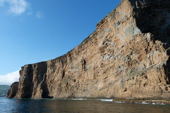 Terceira Whale Watching & Dolphin Swim at Ilhéus das Cabras photo 3