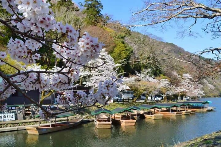 Kyoto & Nara in a Day: Torii Gates, Temples, and Friendly Deer photo 6