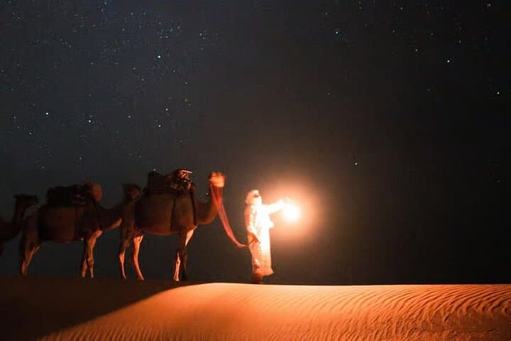 Doha Night Desert Safari: Dune Bashing, Camel Rides & Bonfire Experience photo 3