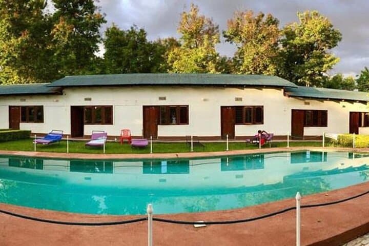 Budget 4-Day Tanzania Camping Safari — Serengeti, Ngorongoro & Tarangire on a Shoestring photo 6