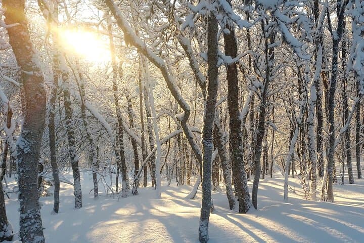 Fjellheisen Snowshoe: Guided Tromsdalen Two-Hour Arctic Trek photo 2