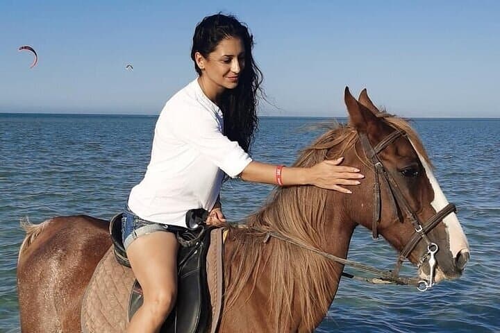 Hurghada Desert-to-Beach Horseback Ride: 2-Hour Dune & Shore Adventure photo 4