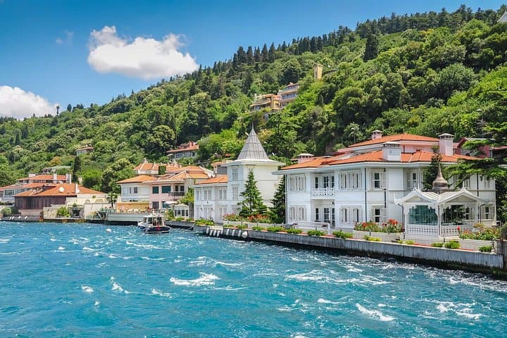 Princes Islands Escape: Full-Day Ferry & Electric-Vehicle Tour from Istanbul photo 2