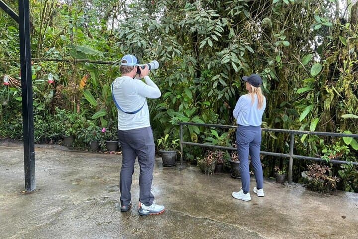 Mindo Cloud Forest Adventure: Hummingbirds, Waterfalls & Chocolate photo 2