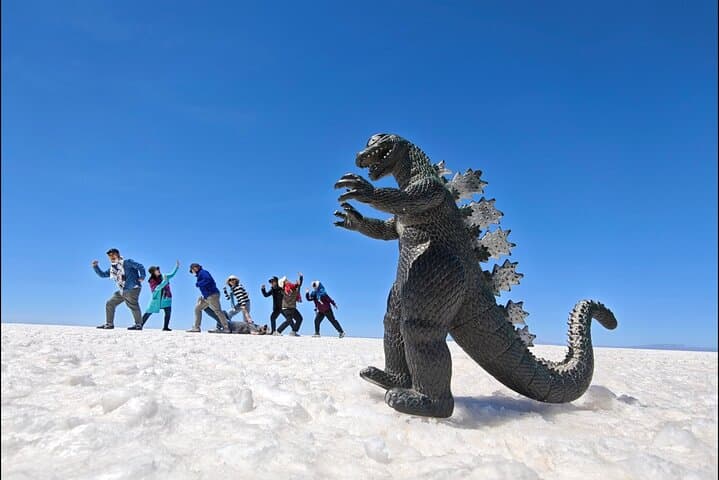 Salar de Uyuni Full-Day Private Tour — Mirrors, Incahuasi & Train Cemetery photo 4