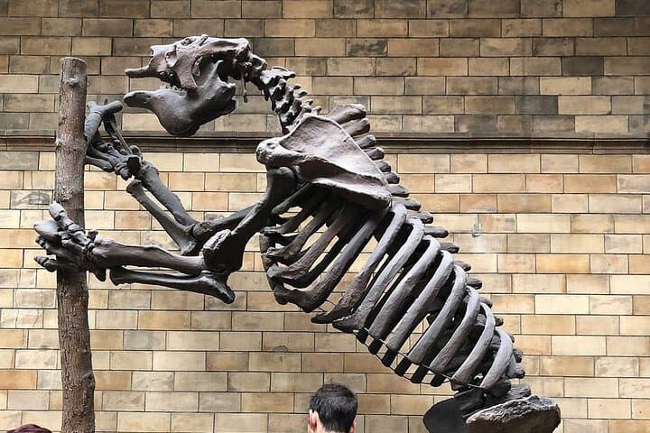 Private Natural History Museum Tour London — Dinosaurs, Gems & Space Rocks photo 2