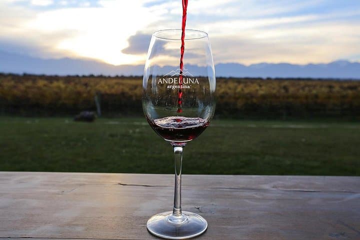 Uco Valley Wine and Bike Full-Day Experience: Mendoza Vineyard Cycling & Tastings