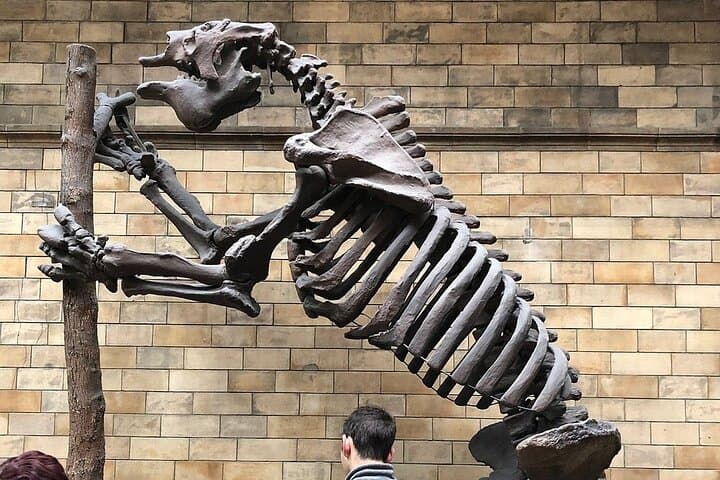Natural History Museum Highlights Tour: Dinosaurs, Gems & Geological Wonders photo 2