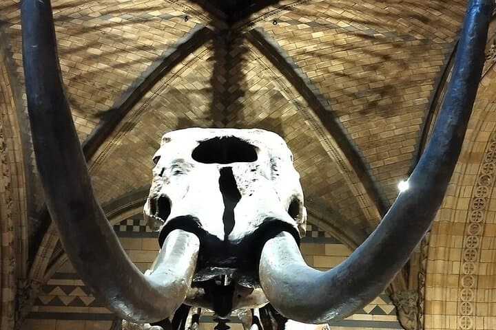Natural History Museum Highlights Tour: Dinosaurs, Gems & Geological Wonders photo 3