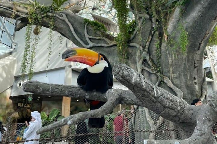 Green Planet Dubai: Indoor Rainforest Tour with Private Transfers