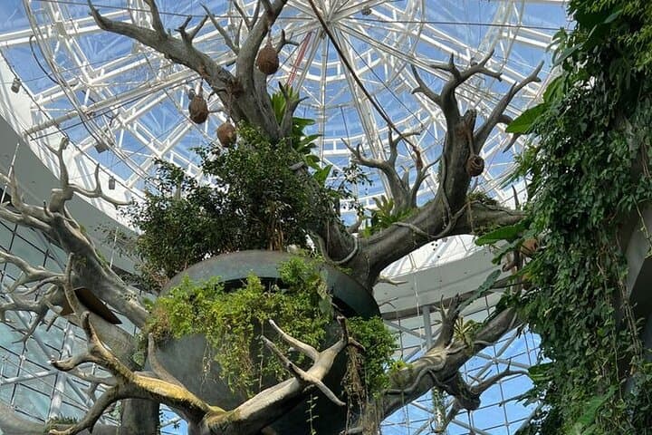Green Planet Dubai: Indoor Rainforest Tour with Private Transfers photo 3