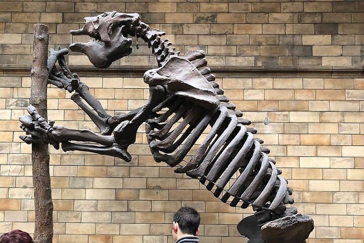 Highlights Guided Tour of London's Natural History Museum photo 2