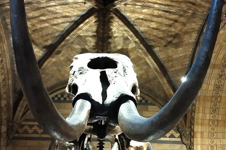 Highlights Guided Tour of London's Natural History Museum photo 3